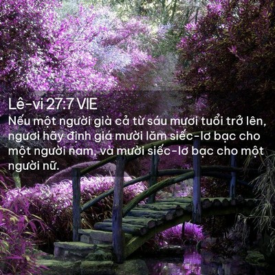 Picture 02 - Lê-vi 27:7 VIE - Nếu một người già cả từ sáu mươi - Bible Verse Picture