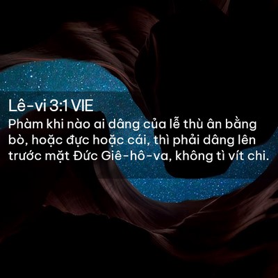 Picture 02 - Lê-vi 3:1 VIE - Phàm khi nào ai dâng của lễ thù ân - Bible Verse Picture