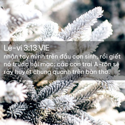 Picture 02 - Lê-vi 3:13 VIE - nhận tay mình trên đầu con sinh, rồi - Bible Verse Picture