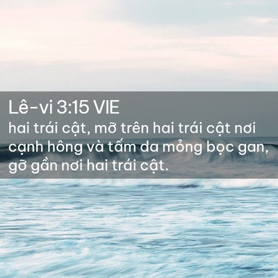 Picture 02 - Lê-vi 3:15 VIE - hai trái cật, mỡ trên hai trái cật nơi - Bible Verse Picture