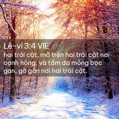 Picture 02 - Lê-vi 3:4 VIE - hai trái cật, mỡ trên hai trái cật nơi - Bible Verse Picture