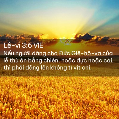 Picture 02 - Lê-vi 3:6 VIE - Nếu người dâng cho Đức Giê-hô-va của - Bible Verse Picture