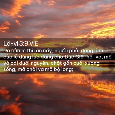 Picture 02 - Lê-vi 3:9 VIE - Do của lễ thù ân nầy, người phải - Bible Verse Picture