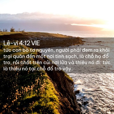 Picture 02 - Lê-vi 4:12 VIE - tức con bò tơ nguyên, người phải đem - Bible Verse Picture