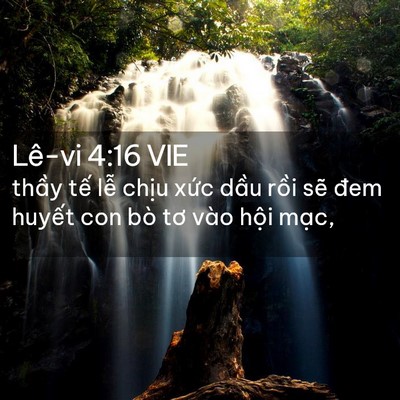 Picture 02 - Lê-vi 4:16 VIE - thầy tế lễ chịu xức dầu rồi sẽ - Bible Verse Picture