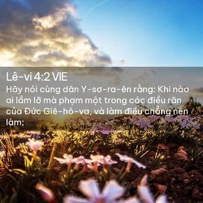 Picture 02 - Lê-vi 4:2 VIE - Hãy nói cùng dân Y-sơ-ra-ên rằng: Khi - Bible Verse Picture