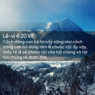 Picture 02 - Lê-vi 4:20 VIE - Cách dâng con bò tơ nầy cũng như cách - Bible Verse Picture