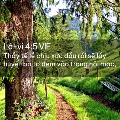 Picture 02 - Lê-vi 4:5 VIE - Thầy tế lễ chịu xức dầu rồi sẽ - Bible Verse Picture