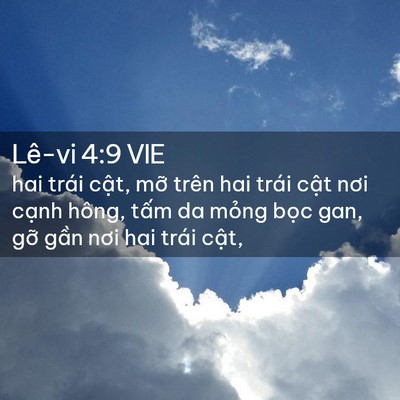 Picture 02 - Lê-vi 4:9 VIE - hai trái cật, mỡ trên hai trái cật nơi - Bible Verse Picture