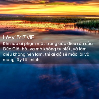 Picture 02 - Lê-vi 5:17 VIE - Khi nào ai phạm một trong các điều răn - Bible Verse Picture