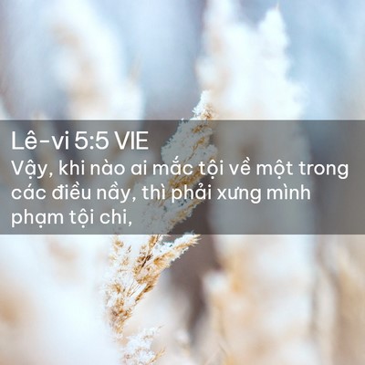 Picture 02 - Lê-vi 5:5 VIE - Vậy, khi nào ai mắc tội về một trong - Bible Verse Picture