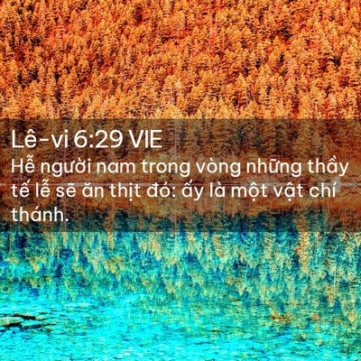 Picture 02 - Lê-vi 6:29 VIE - Hễ người nam trong vòng những thầy tế - Bible Verse Picture