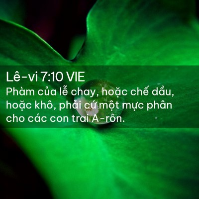 Picture 02 - Lê-vi 7:10 VIE - Phàm của lễ chay, hoặc chế dầu, hoặc - Bible Verse Picture
