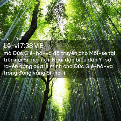 Picture 02 - Lê-vi 7:38 VIE - mà Đức Giê-hô-va đã truyền cho Môi-se - Bible Verse Picture