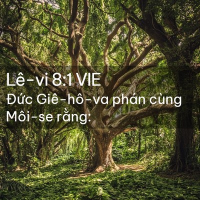 Picture 02 - Lê-vi 8:1 VIE - Đức Giê-hô-va phán cùng Môi-se - Bible Verse Picture
