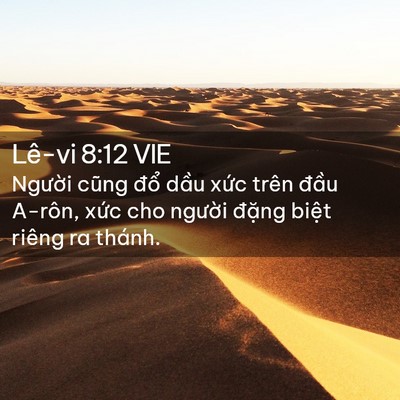 Picture 02 - Lê-vi 8:12 VIE - Người cũng đổ dầu xức trên đầu - Bible Verse Picture