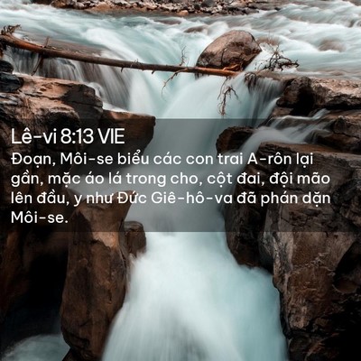 Picture 02 - Lê-vi 8:13 VIE - Đoạn, Môi-se biểu các con trai A-rôn - Bible Verse Picture