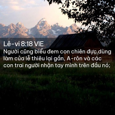Picture 02 - Lê-vi 8:18 VIE - Người cũng biểu đem con chiên đực - Bible Verse Picture