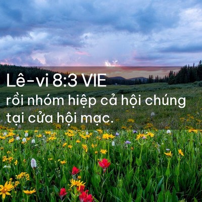 Picture 02 - Lê-vi 8:3 VIE - rồi nhóm hiệp cả hội chúng tại cửa - Bible Verse Picture