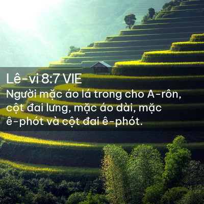 Picture 02 - Lê-vi 8:7 VIE - Người mặc áo lá trong cho A-rôn, cột - Bible Verse Picture