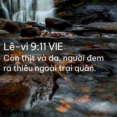 Picture 02 - Lê-vi 9:11 VIE - Còn thịt và da, người đem ra thiêu - Bible Verse Picture