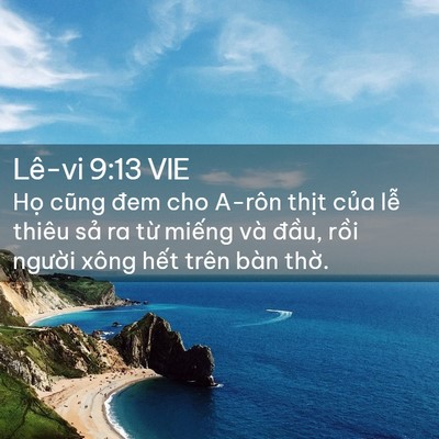 Picture 02 - Lê-vi 9:13 VIE - Họ cũng đem cho A-rôn thịt của lễ - Bible Verse Picture