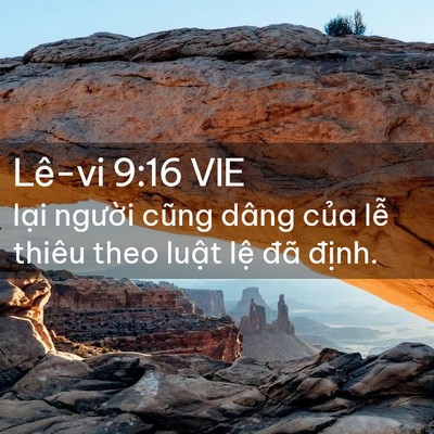 Picture 02 - Lê-vi 9:16 VIE - lại người cũng dâng của lễ thiêu theo - Bible Verse Picture