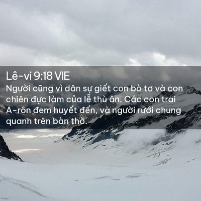 Picture 02 - Lê-vi 9:18 VIE - Người cũng vì dân sự giết con bò tơ - Bible Verse Picture