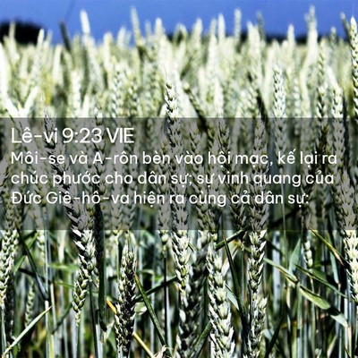 Picture 02 - Lê-vi 9:23 VIE - Môi-se và A-rôn bèn vào hội mạc, kế - Bible Verse Picture