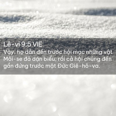 Picture 02 - Lê-vi 9:5 VIE - Vậy, họ dẫn đến trước hội mạc - Bible Verse Picture