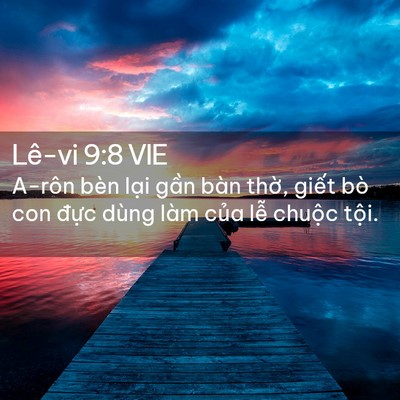 Picture 02 - Lê-vi 9:8 VIE - A-rôn bèn lại gần bàn thờ, giết bò - Bible Verse Picture