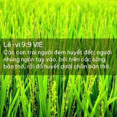 Picture 02 - Lê-vi 9:9 VIE - Các con trai người đem huyết đến; - Bible Verse Picture