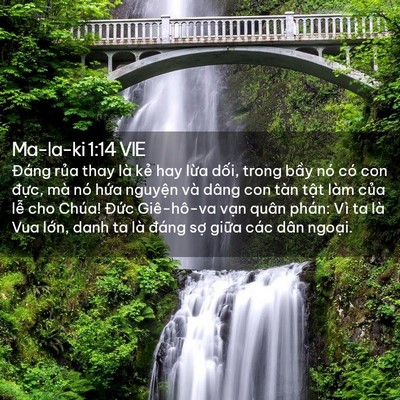 Picture 02 - Ma-la-ki 1:14 VIE - Đáng rủa thay là kẻ hay lừa dối, trong - Bible Verse Picture