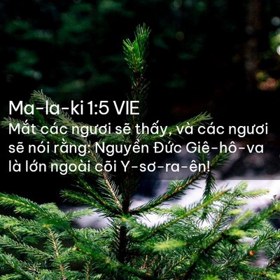 Picture 02 - Ma-la-ki 1:5 VIE - Mắt các ngươi sẽ thấy, và các ngươi - Bible Verse Picture