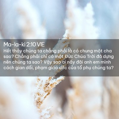 Picture 02 - Ma-la-ki 2:10 VIE - Hết thảy chúng ta chẳng phải là có - Bible Verse Picture