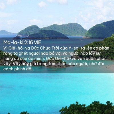 Picture 02 - Ma-la-ki 2:16 VIE - Vì Giê-hô-va Đức Chúa Trời của - Bible Verse Picture