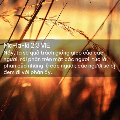 Picture 02 - Ma-la-ki 2:3 VIE - Nầy, ta sẽ quở trách giống gieo của - Bible Verse Picture