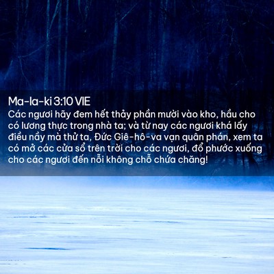 Picture 02 - Ma-la-ki 3:10 VIE - Các ngươi hãy đem hết thảy phần - Bible Verse Picture