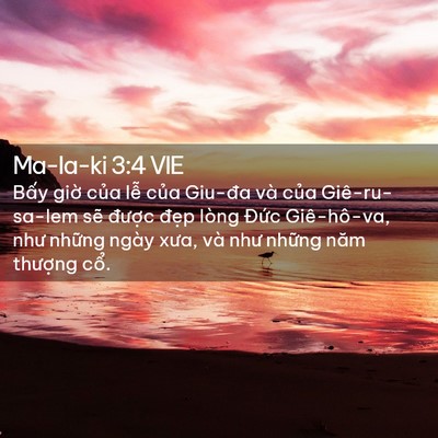 Picture 02 - Ma-la-ki 3:4 VIE - Bấy giờ của lễ của Giu-đa và của - Bible Verse Picture