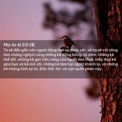 Picture 02 - Ma-la-ki 3:5 VIE - Ta sẽ đến gần các ngươi đặng làm - Bible Verse Picture