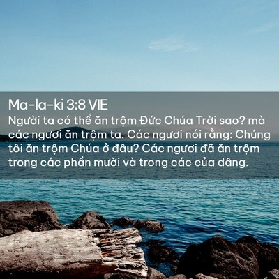 Picture 02 - Ma-la-ki 3:8 VIE - Người ta có thể ăn trộm Đức Chúa - Bible Verse Picture