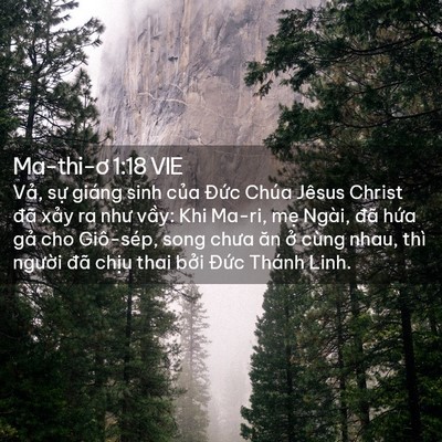 Picture 02 - Ma-thi-ơ 1:18 VIE - Vả, sự giáng sinh của Đức Chúa Jêsus - Bible Verse Picture