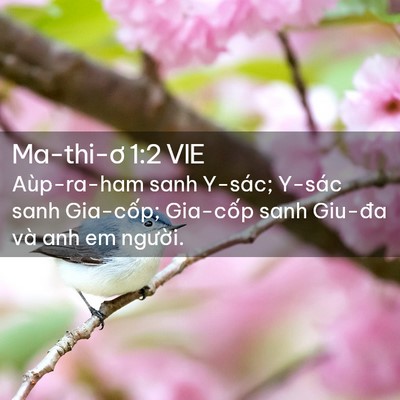 Picture 02 - Ma-thi-ơ 1:2 VIE - Aùp-ra-ham sanh Y-sác; Y-sác sanh Gia-cốp; - Bible Verse Picture