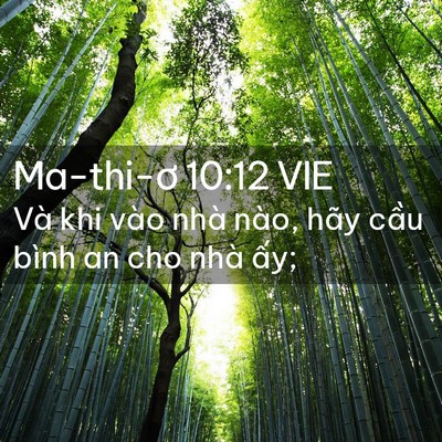 Picture 02 - Ma-thi-ơ 10:12 VIE - Và khi vào nhà nào, hãy cầu bình an cho - Bible Verse Picture