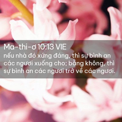 Picture 02 - Ma-thi-ơ 10:13 VIE - nếu nhà đó xứng đáng, thì sự bình an - Bible Verse Picture