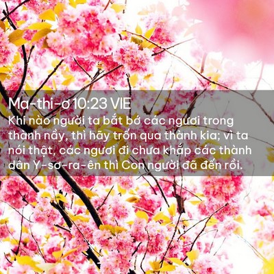 Picture 02 - Ma-thi-ơ 10:23 VIE - Khi nào người ta bắt bớ các ngươi - Bible Verse Picture