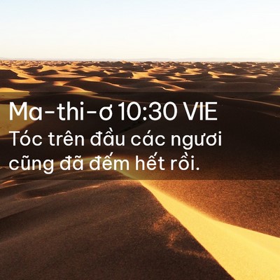 Picture 02 - Ma-thi-ơ 10:30 VIE - Tóc trên đầu các ngươi cũng đã đếm - Bible Verse Picture