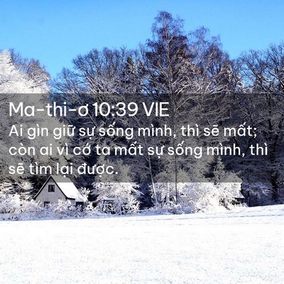 Picture 02 - Ma-thi-ơ 10:39 VIE - Ai gìn giữ sự sống mình, thì sẽ mất; - Bible Verse Picture