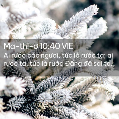 Picture 02 - Ma-thi-ơ 10:40 VIE - Ai rước các ngươi, tức là rước ta; ai - Bible Verse Picture