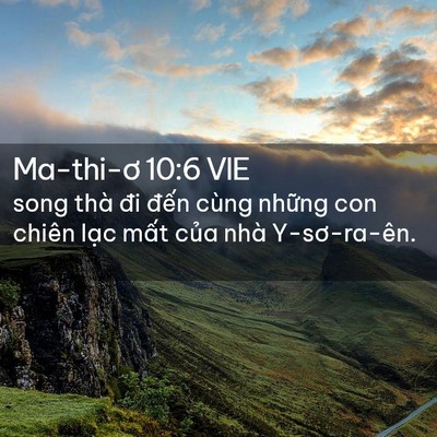 Picture 02 - Ma-thi-ơ 10:6 VIE - song thà đi đến cùng những con chiên - Bible Verse Picture